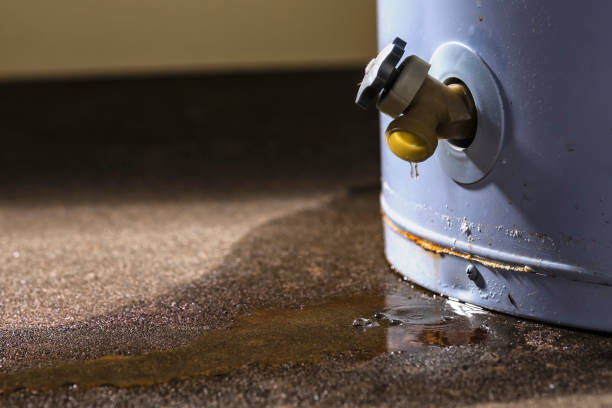 Best Water damage cleanup near me  in Whitefish Bay, WI