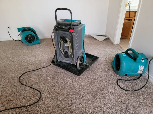 Best Mold removal after water damage  in Whitefish Bay, WI