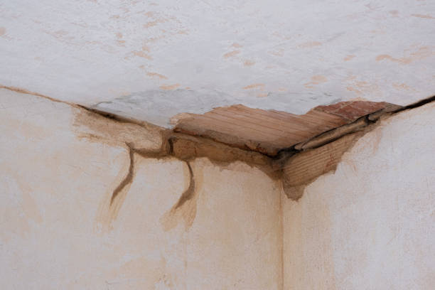 Best Flood damage cleanup  in Whitefish Bay, WI