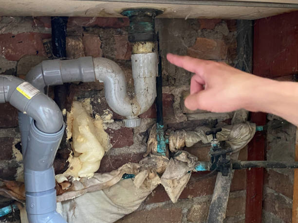 Best Water damage restoration company  in Whitefish Bay, WI