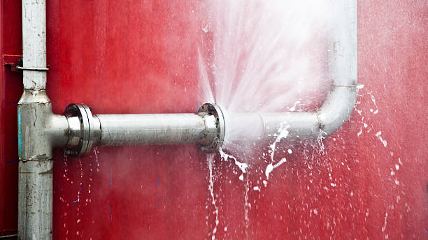 Best Flood damage cleanup  in Whitefish Bay, WI